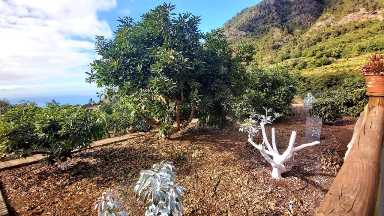 Casa Rural La Resbala - Casa Verde Ла Оротава Екстериор снимка